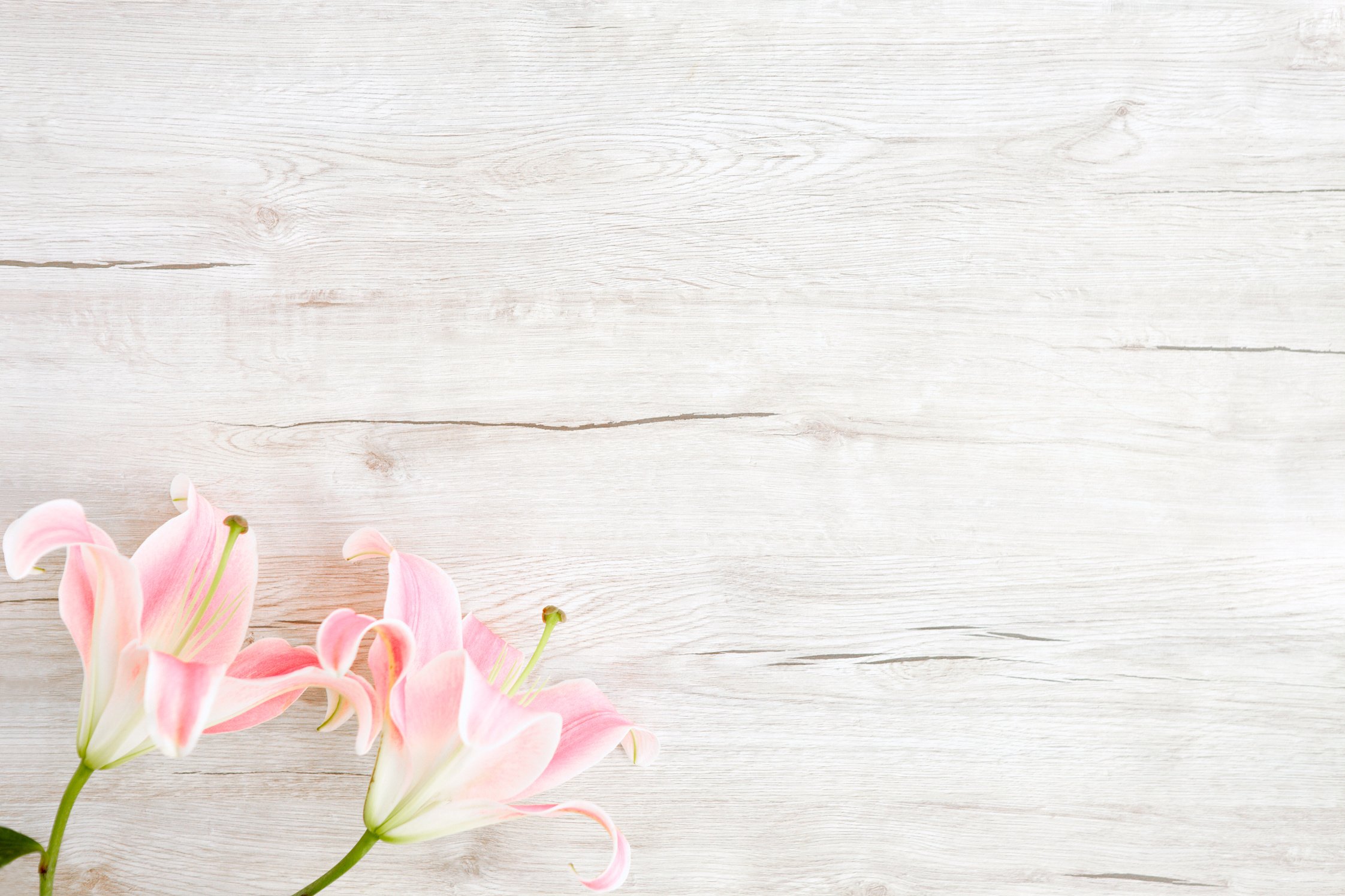 Flatlay of wooden background and lilies